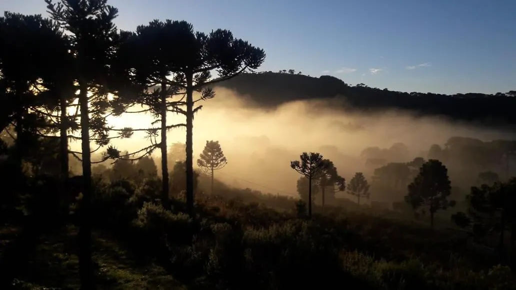 Pousada Sitio Bella Vista Urupema
