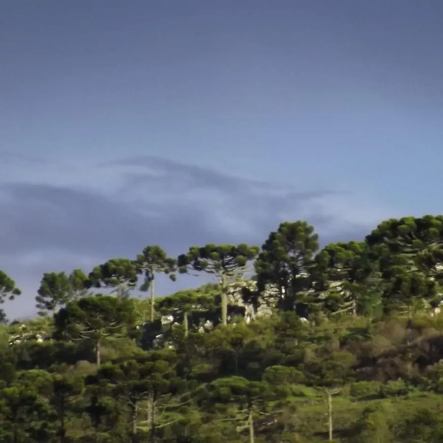 Pousada Sitio Bella Vista Urupema Brasil